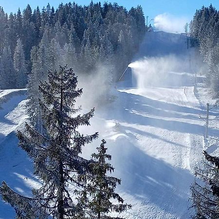 Woodside Woodside Apartments Kopaonik Free Parking & Spa , Free Ski Locker エクステリア 写真