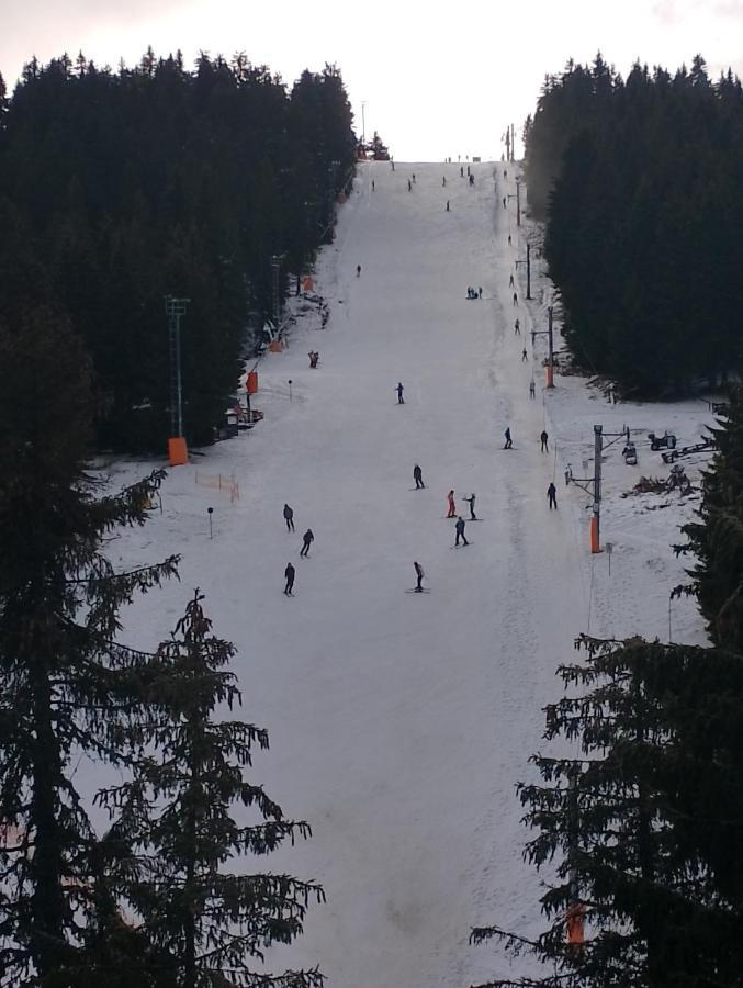 Woodside Woodside Apartments Kopaonik Free Parking & Spa , Free Ski Locker エクステリア 写真