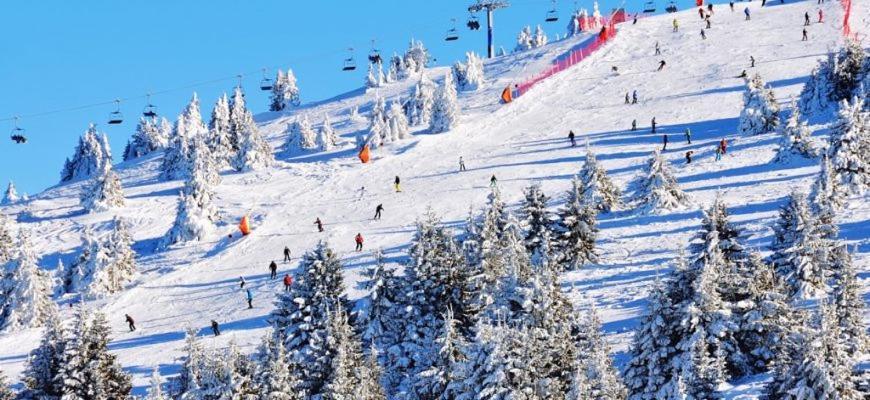 Woodside Woodside Apartments Kopaonik Free Parking & Spa , Free Ski Locker エクステリア 写真