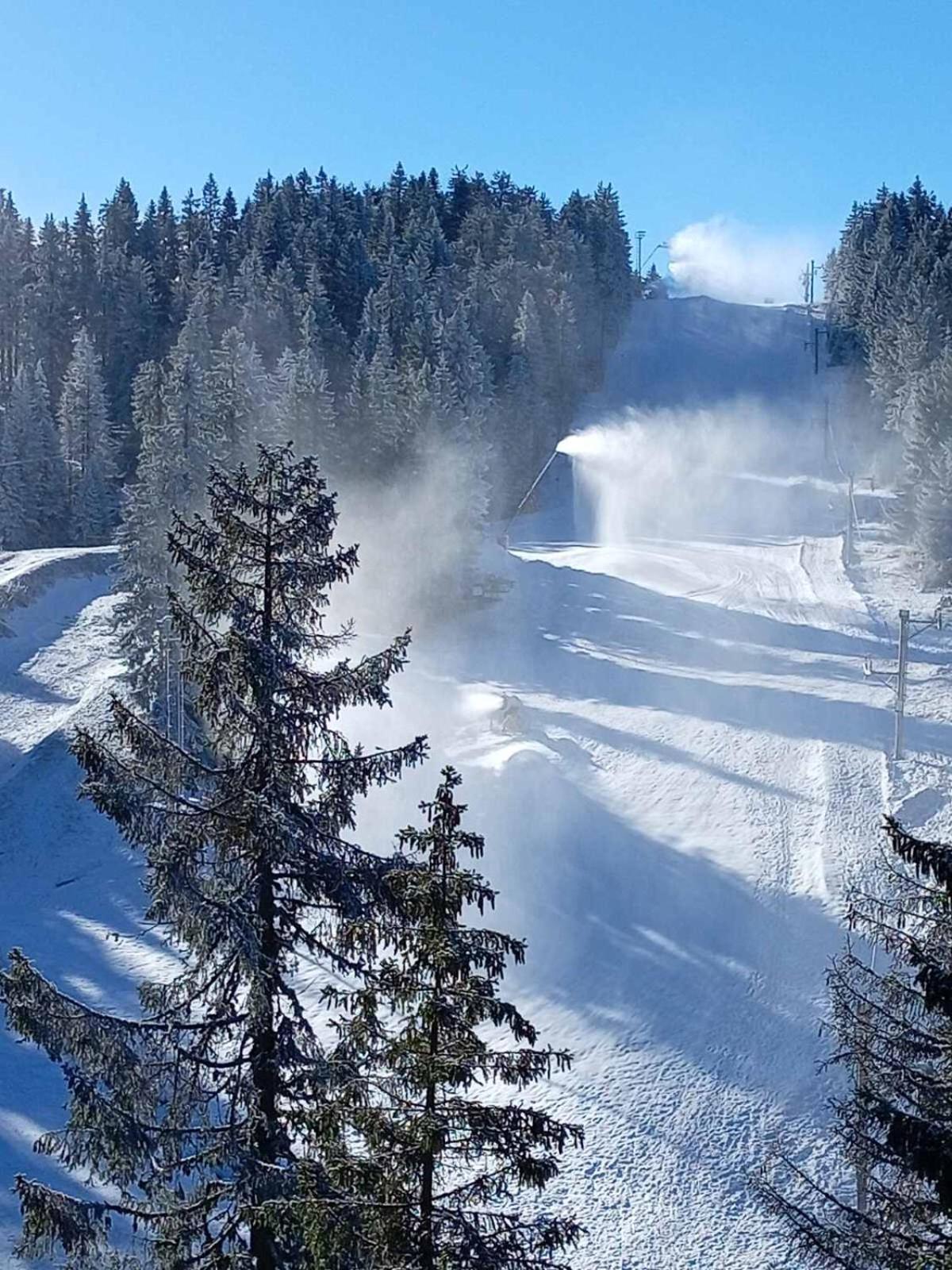 Woodside Woodside Apartments Kopaonik Free Parking & Spa , Free Ski Locker エクステリア 写真